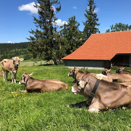 Ferienwohnung - Missen-wilhams, Allgau Апартаменты